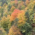 Bild 2008 049